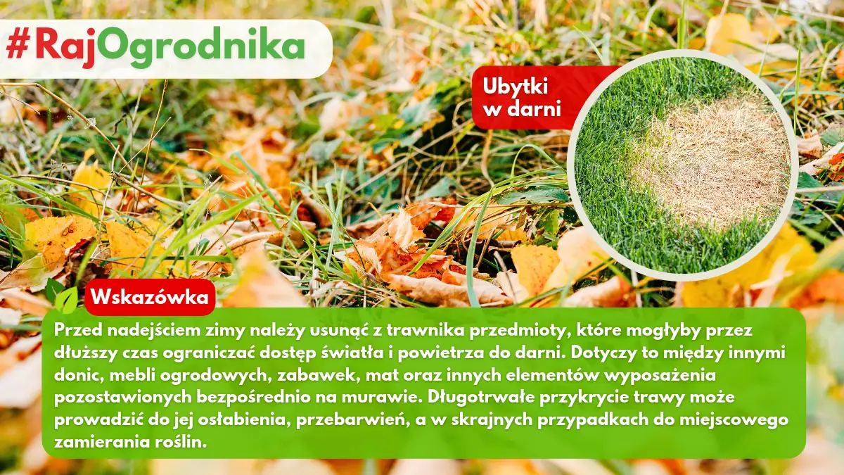 Jak zabezpieczyć trawnik przed nadejściem zimy blog sklep rajogrodnika